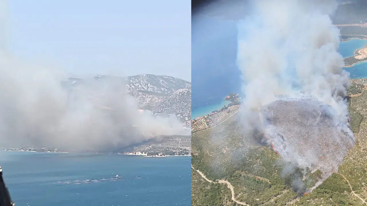 İzmir'de orman yangını: Havadan ve karadan müdahale...