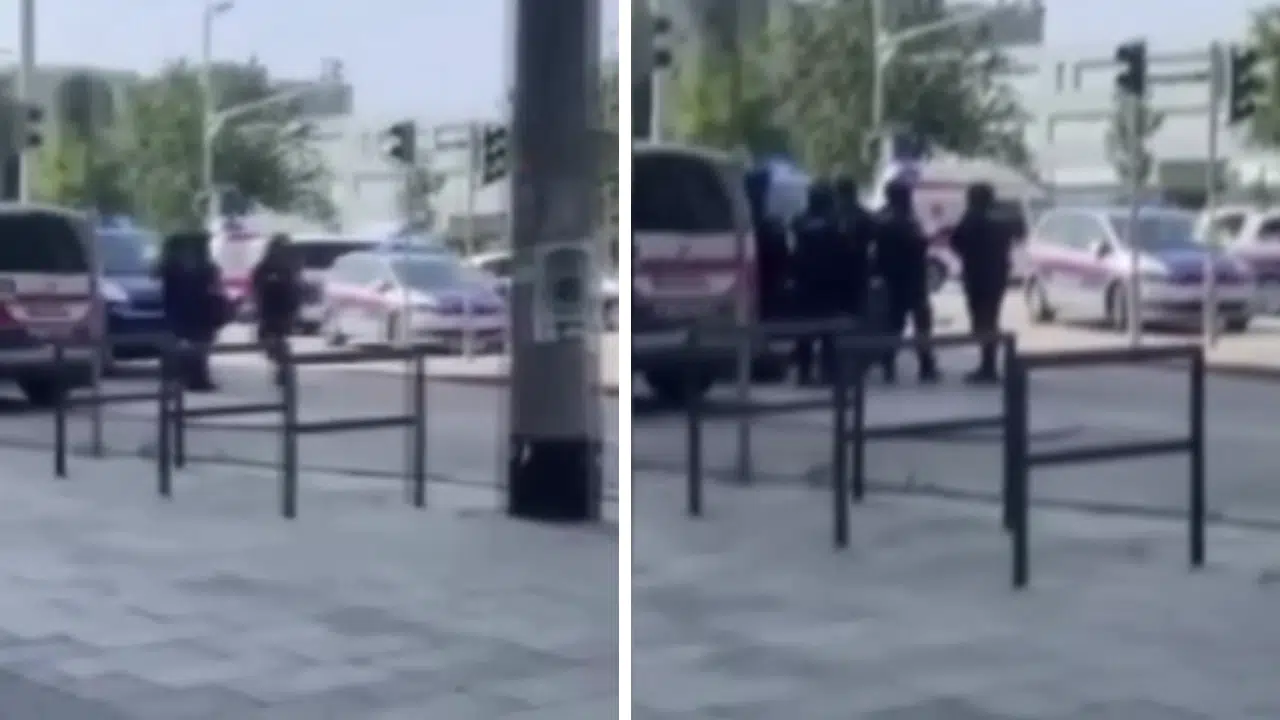 Avusturya'da bir öğrenci okulu bastı: Çok sayıda kişi öldü!