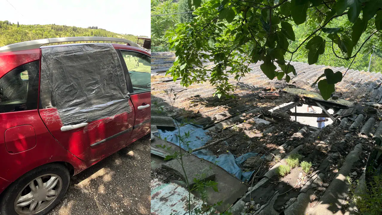 Kocaeli'de kurbanlık boğa garaj çatısından düştü: Sahipleri zor zapt etti