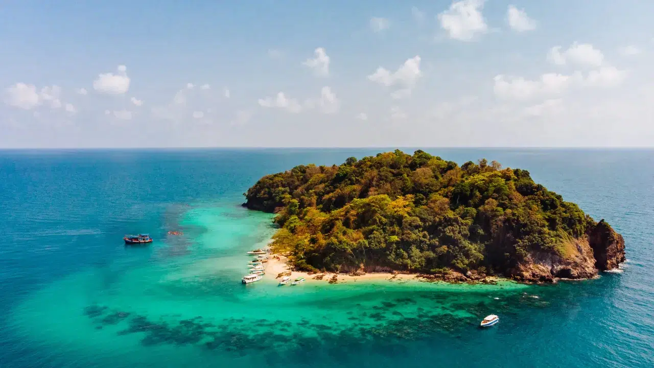 Dünyanın en tehlikeli adası! Her metrekarede ölümcül yılan, tanesi 30 bin dolara satılıyor