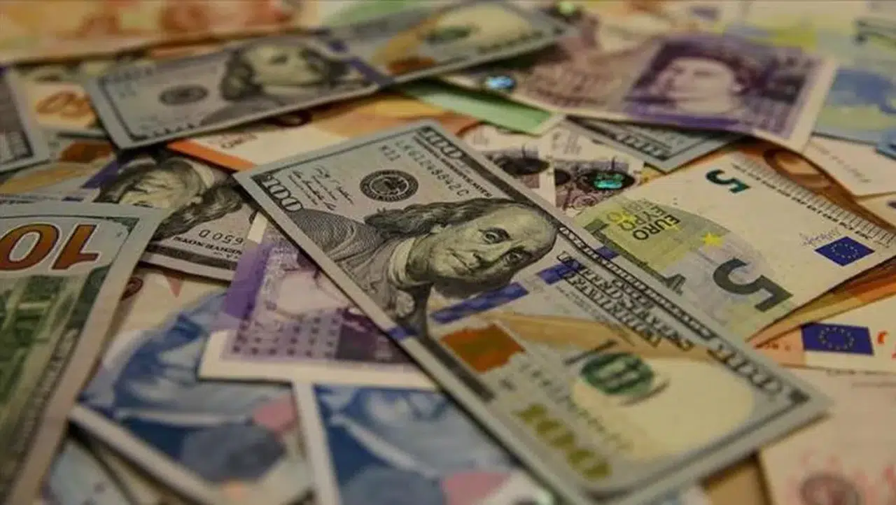 Ne euro ne dolar! Yatırımcısını uçuran para birimi belli oldu