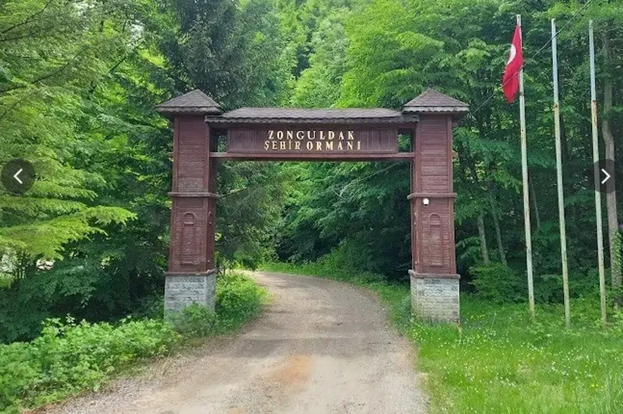 Zonguldak’ta ormanlara giriş yasaklandı!