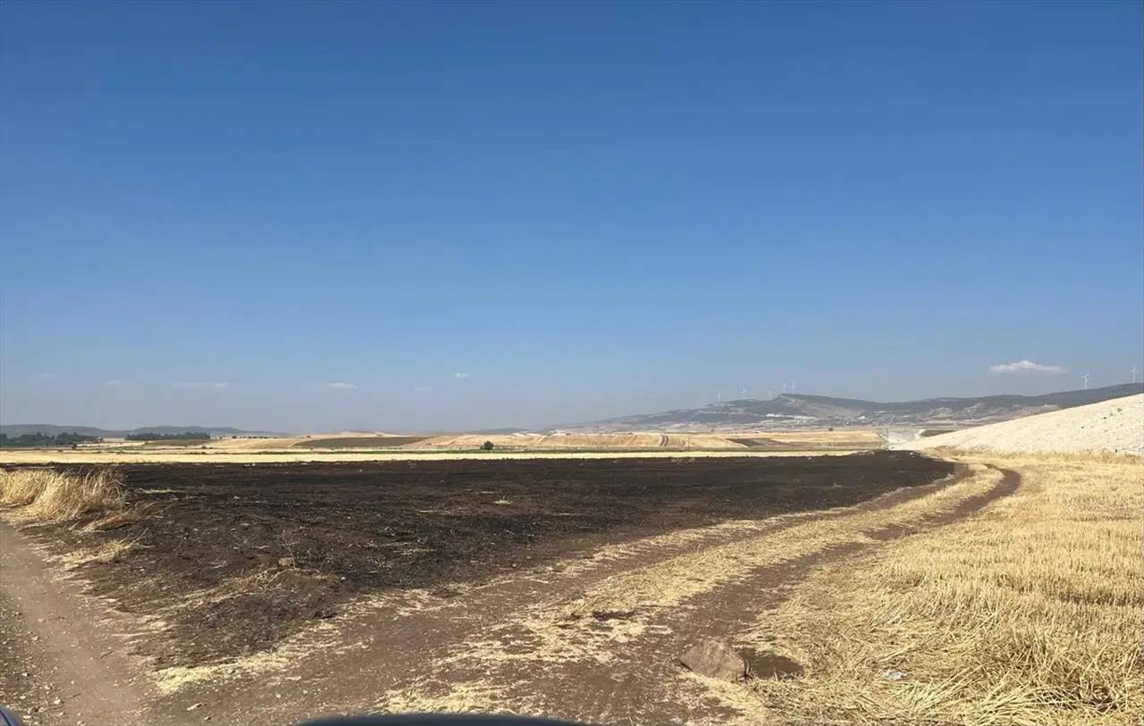 Gaziantep'te anız yaktı, 47 bin lira ceza yedi!