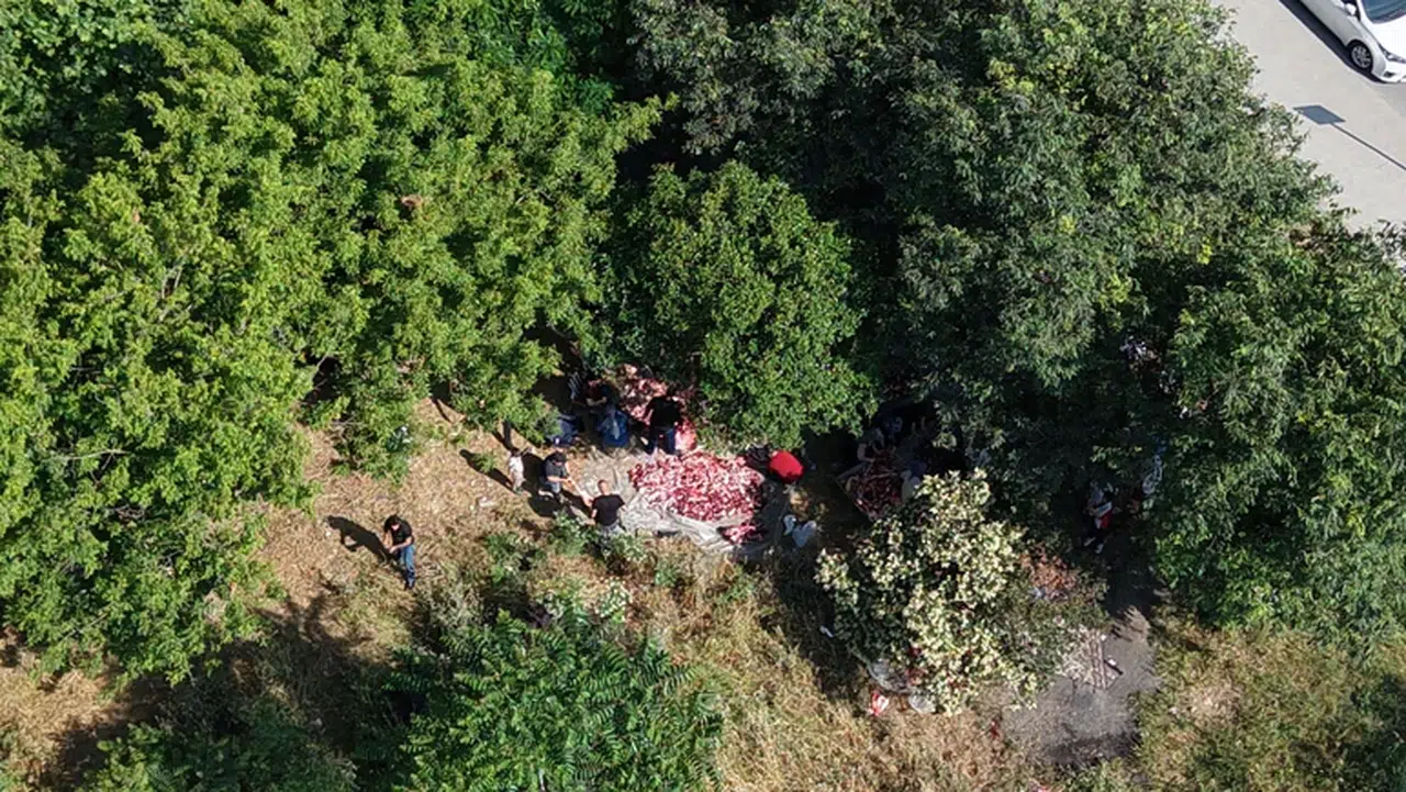Sultangazi'de tepki çeken görüntüler! Boş arsalar kurban kesim alanına döndü