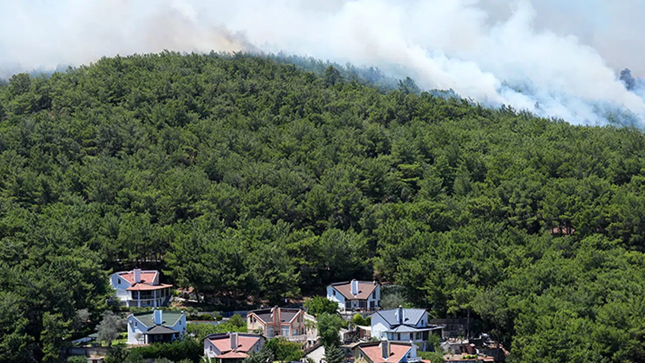 İzmir Urla'da 2 dönümlük alan yanmıştı: Yangınla ilişkili 1 kişi tutuklandı