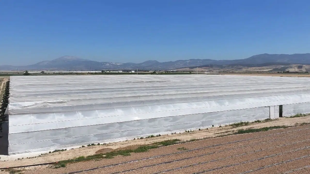 Denizli'de zehirlenme şüphesi: Serada çalışan 26 işçi hastaneye kaldırıldı