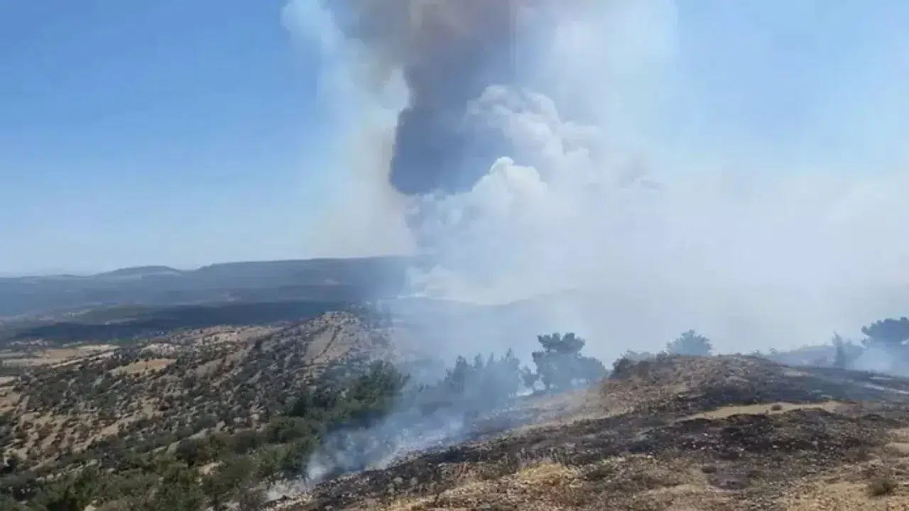 Çanakkale'de orman yangını: Ekiplerin müdahalesi sürüyor