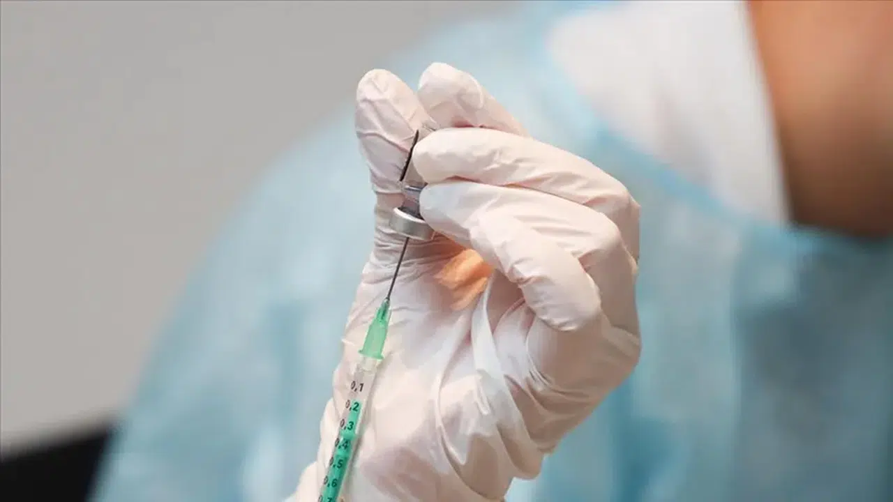 Şap hastalığının yeni serotipine karşı özel aşı geliştirildi!
