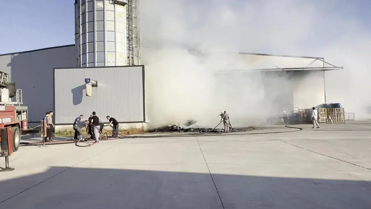 Sakarya’da mobilya fabrikasında korkutan yangın: Depo alevlere teslim oldu