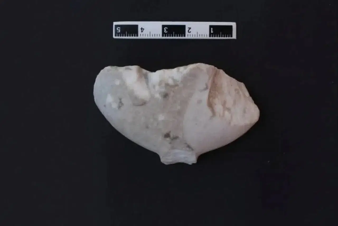 Tarihi baştan yazacak keşif! Bilecik'te Göbeklitepe'den daha eski figür bulundu