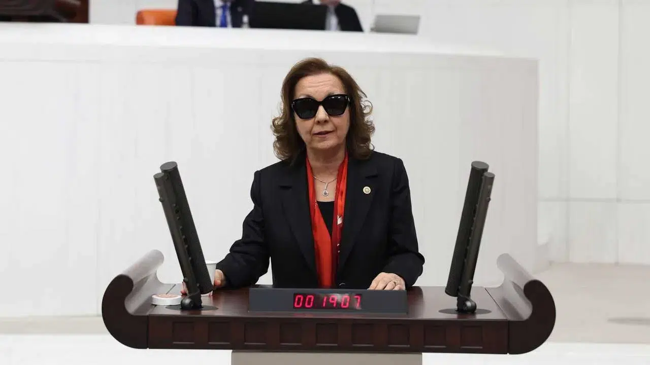 Serap Yazıcı Özbudun'dan dokunulmazlık açıklaması: Bilgi verdik, linç yedik