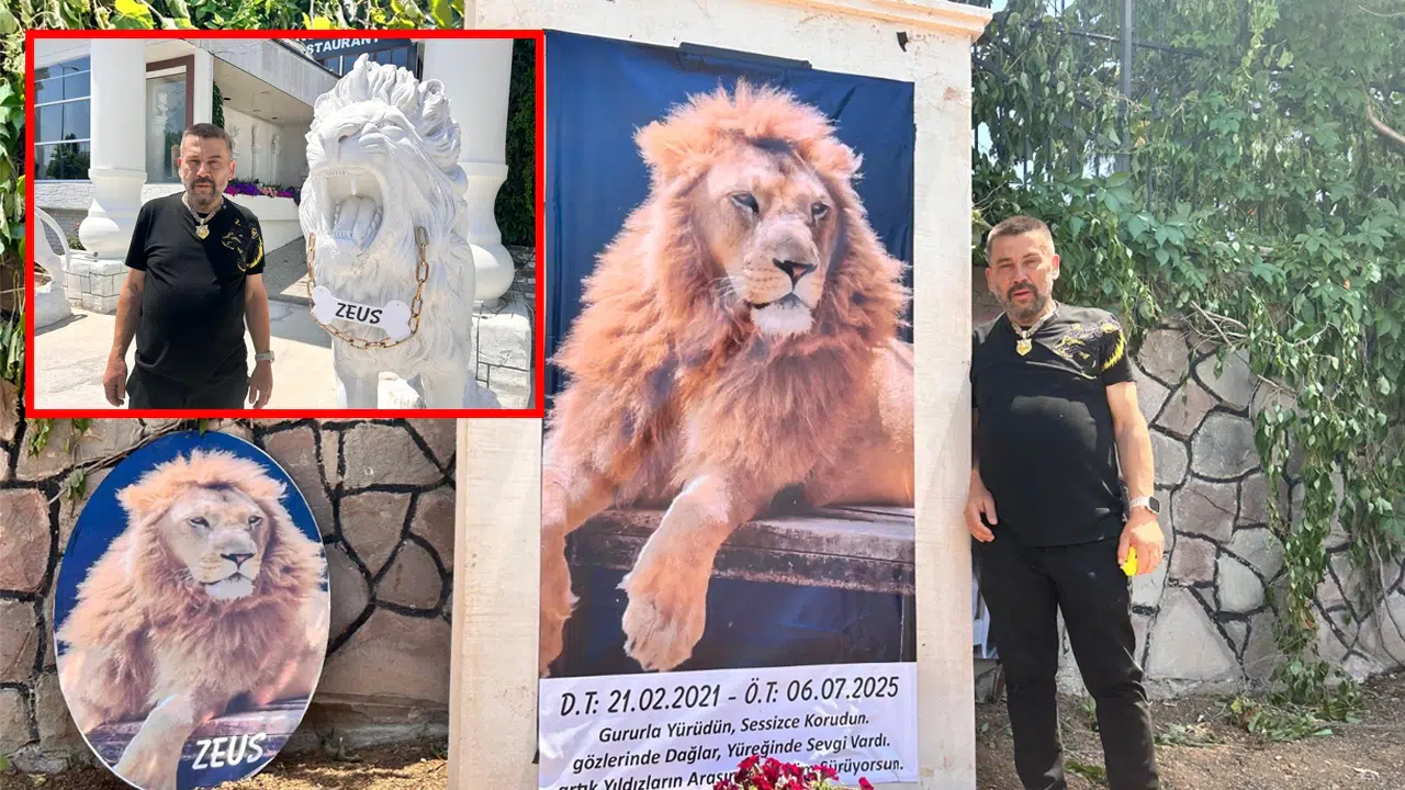 Antalya’da çiftçiye saldıran aslan vurulmuştu: Sahibi bahçeye temsili mezar yaptı