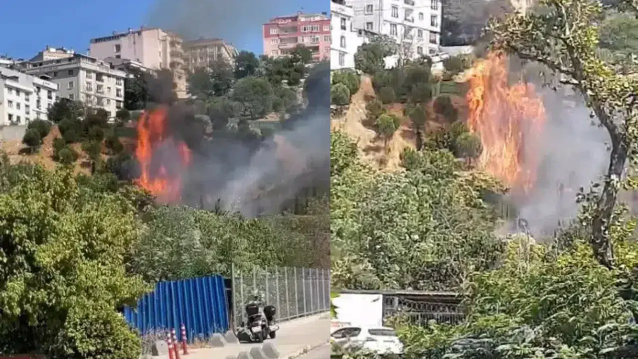 Kağıthane'de ağaçlık alanda yangın paniği: Ekipler sevk edildi