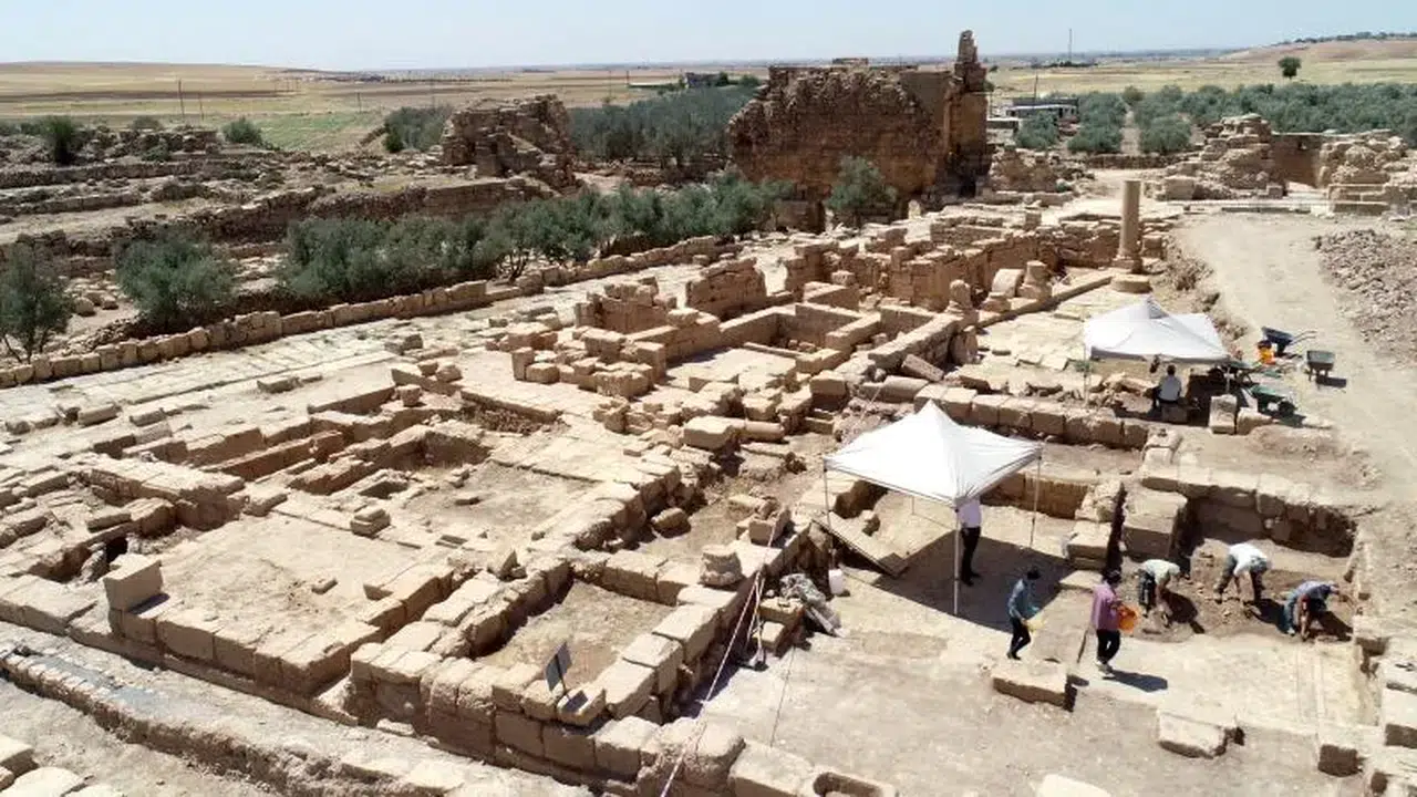 Dara Antik Kenti'nde 1500 yıllık mozaik heyecanı! Dalga ve damla figürleri göz kamaştırdı