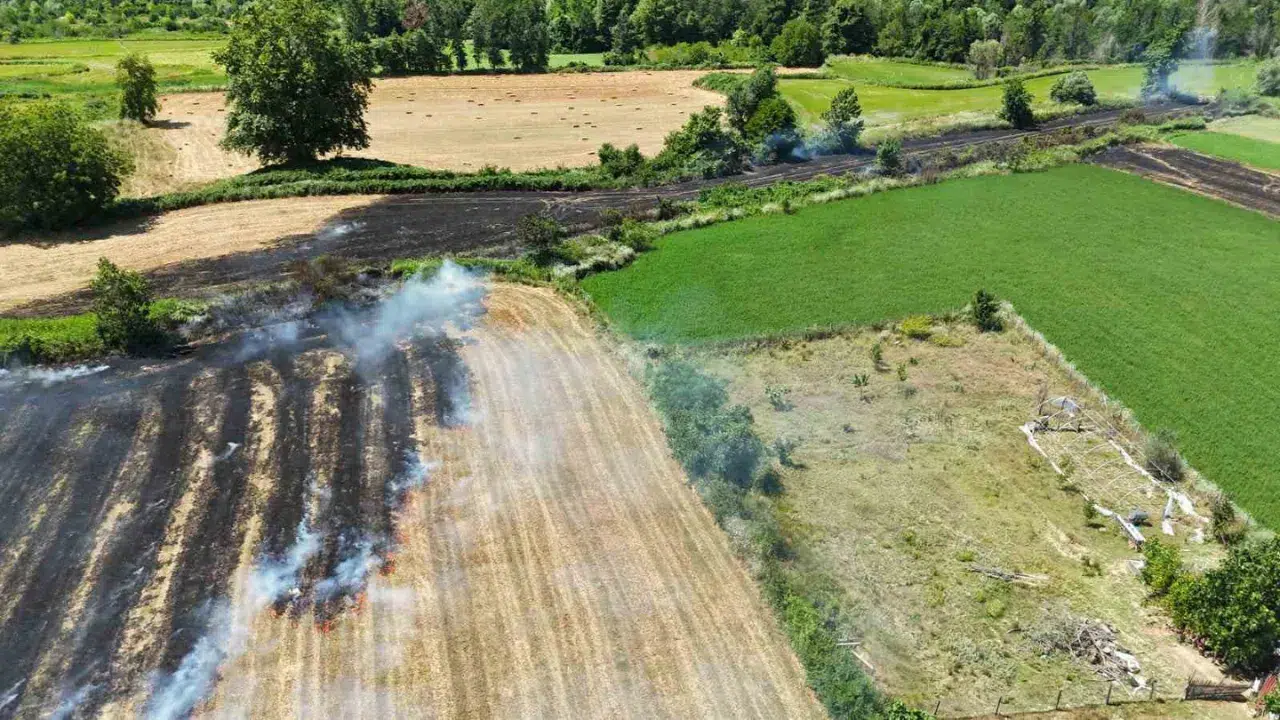 Sinop'ta anız yangını kuru otlara sıçradı: Bölgede büyük panik yaşandı