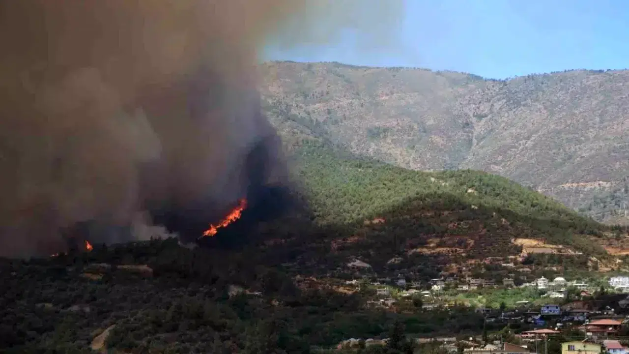 Hatay'da orman yangını: Müdahale sürüyor