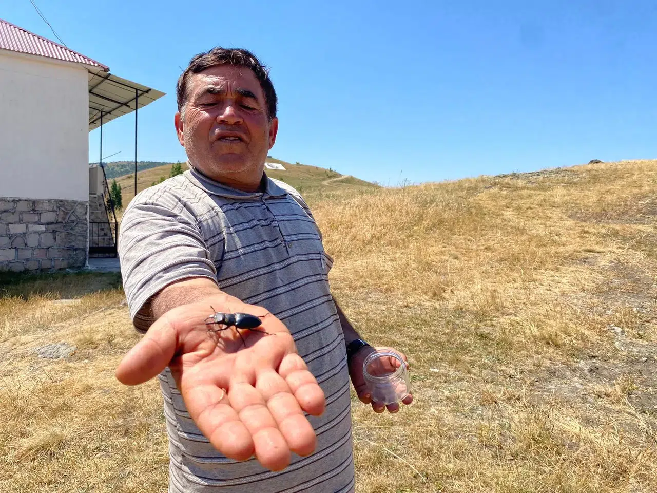 Nadir bulunan o böcek Sivas'ta görüldü: Öldürmenin cezası 557 bin TL!