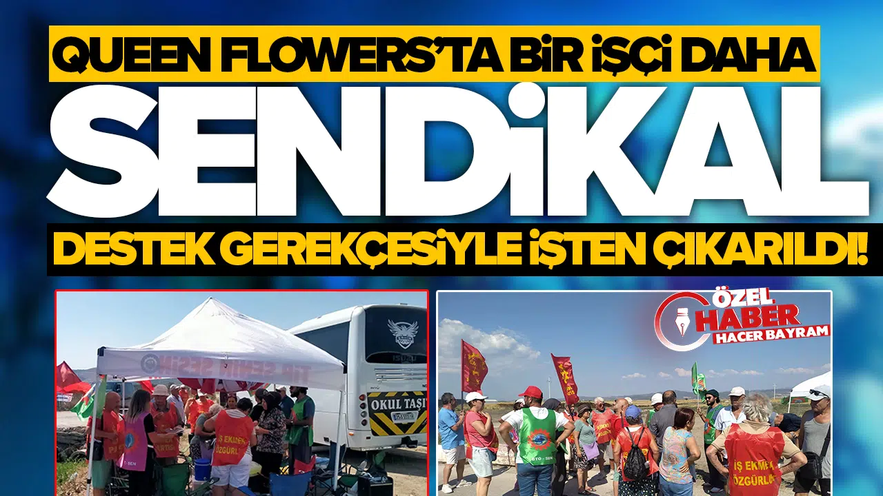 Queen Flowers’ta bir işçi daha sendikal destek gerekçesiyle işten çıkarıldı