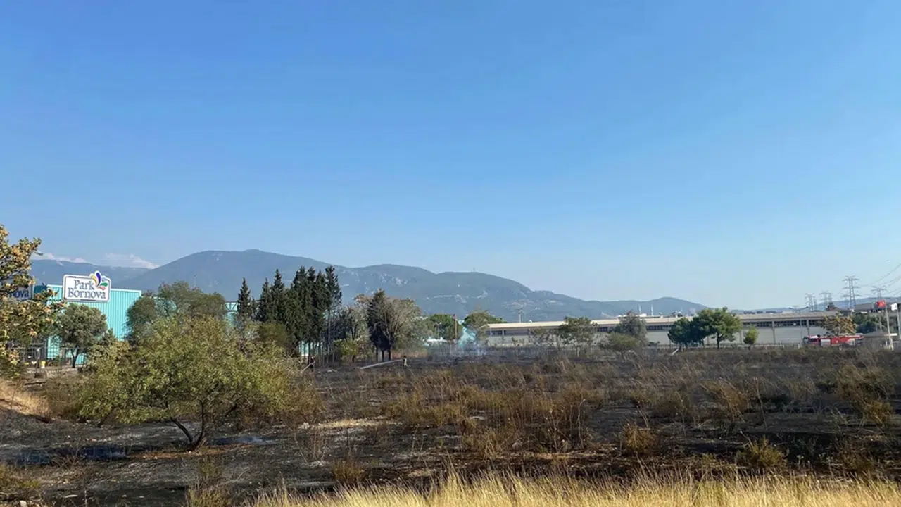 Bornova’da ot yangını panik yarattı! Alevler AVM otoparkına sıçradı