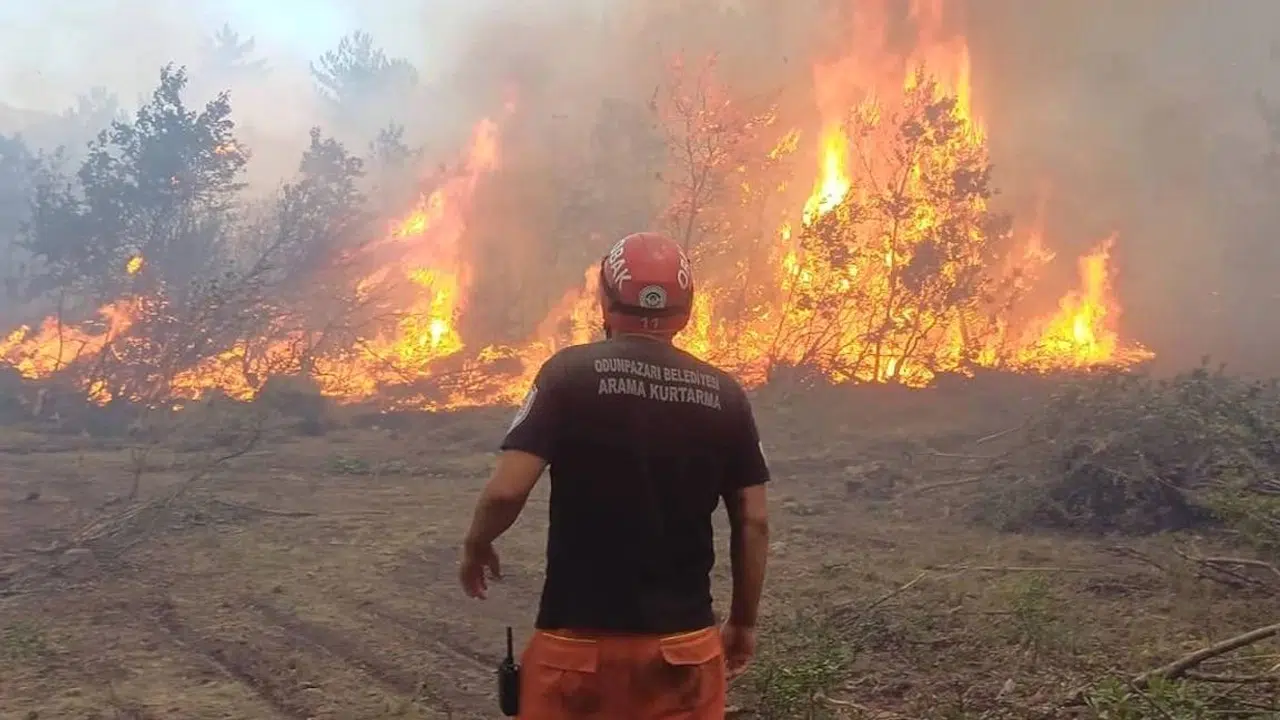 Eskişehir yangını 4. gününde! 10 şehit verdiğimiz yangın hala sönmedi