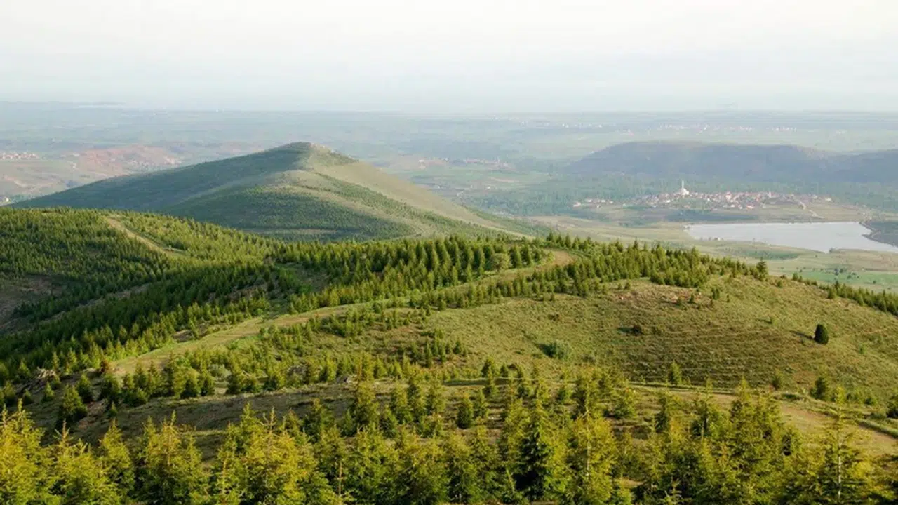 Şırnak’ta ormanlara giriş yasaklandı!