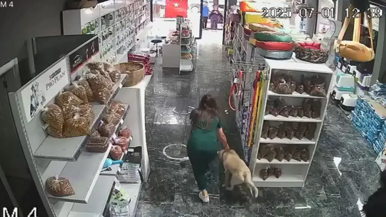 Bursa'daki depremde tedavi gören köpeği içeride bırakmadı! O anlar izleyenleri duygulandırdı