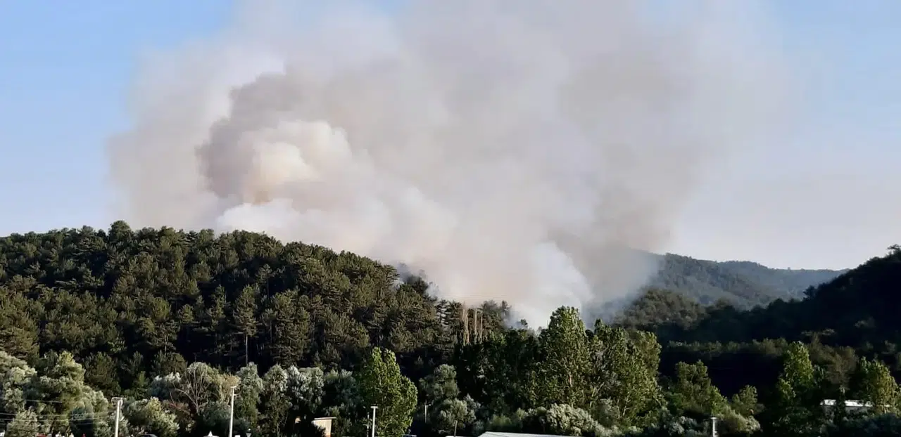 Bolu’da orman yangını! Alevlere müdahale sürüyor