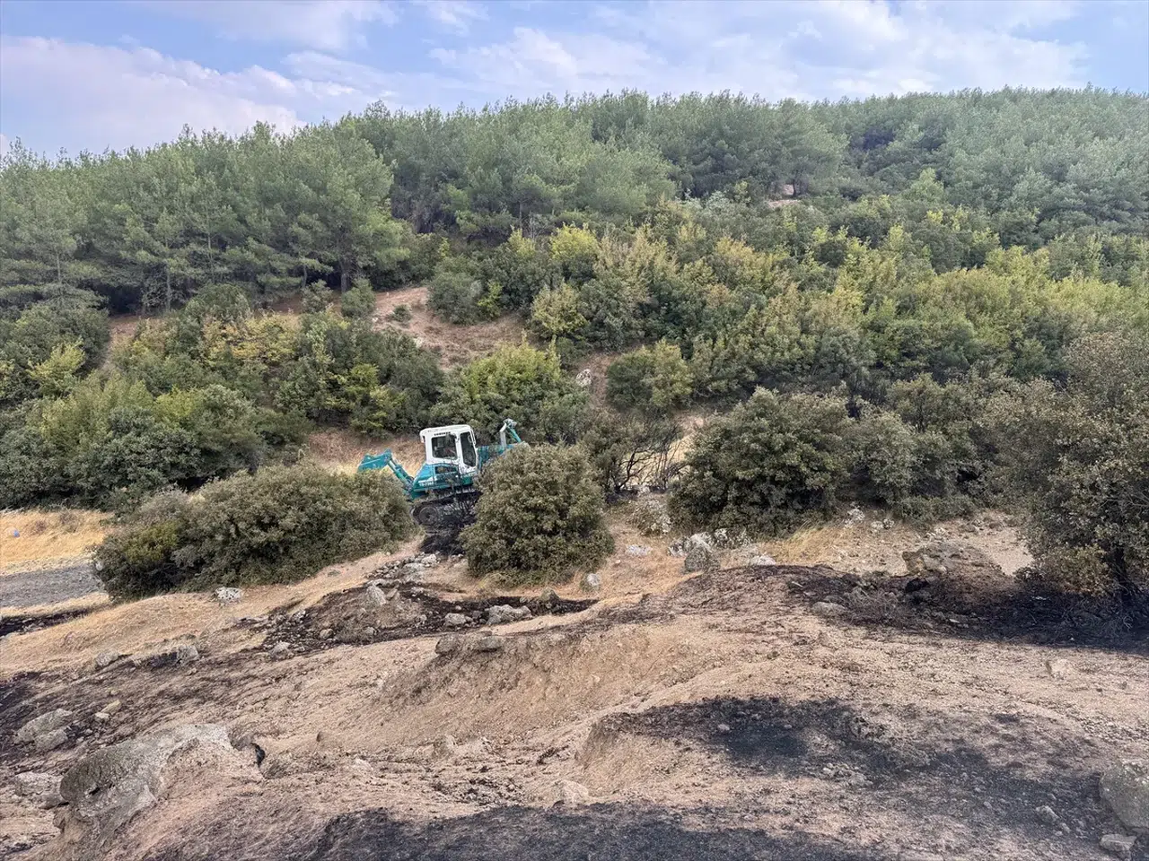 Edirne Keşan'da makilikte çıkan yangın söndürüldü