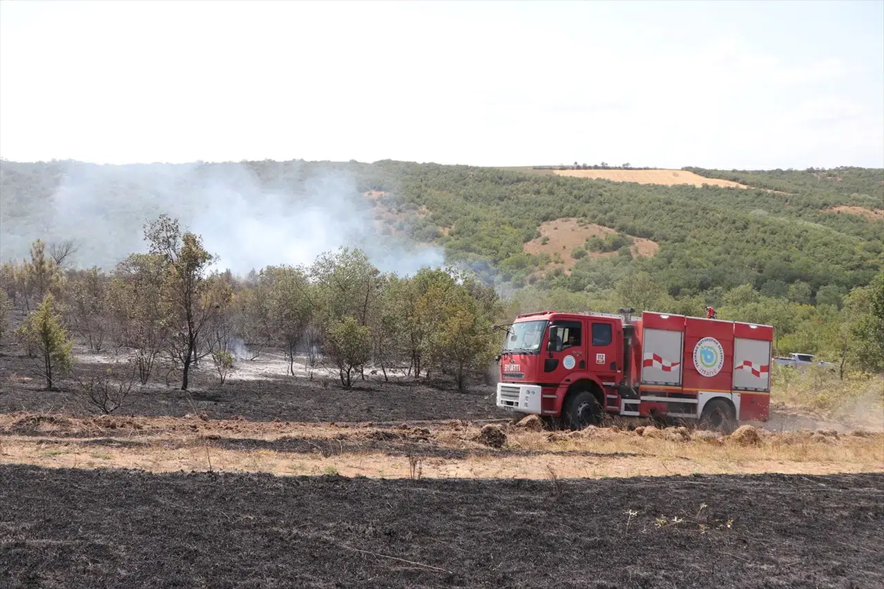 Tekirdağ'da anız yangını ormana sıçradı: Söndürme çalışmaları devam ediyor