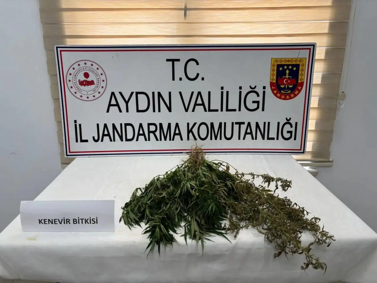 Aydın'da uyuşturucu operasyonu: 13 şüpheli yakalandı!