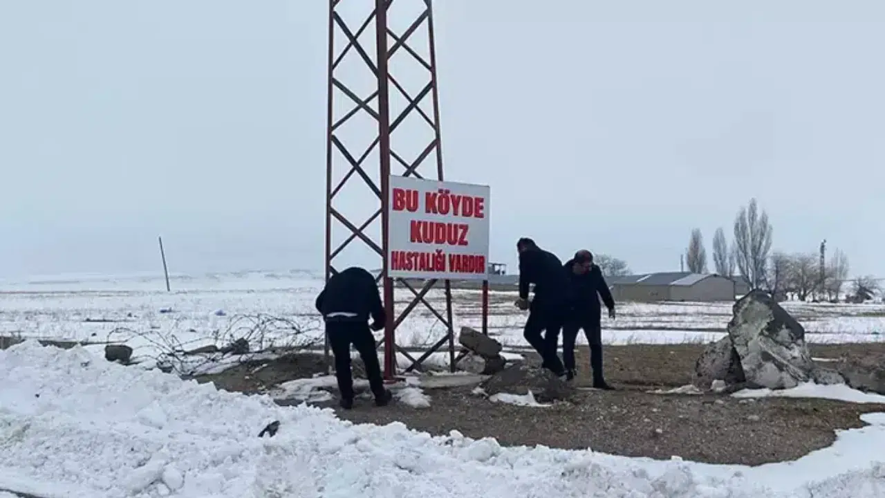 Bitlis’te kuduz alarmı! Bir köy tamamen karantinaya alındı, çevre köylerde yasak başladı!
