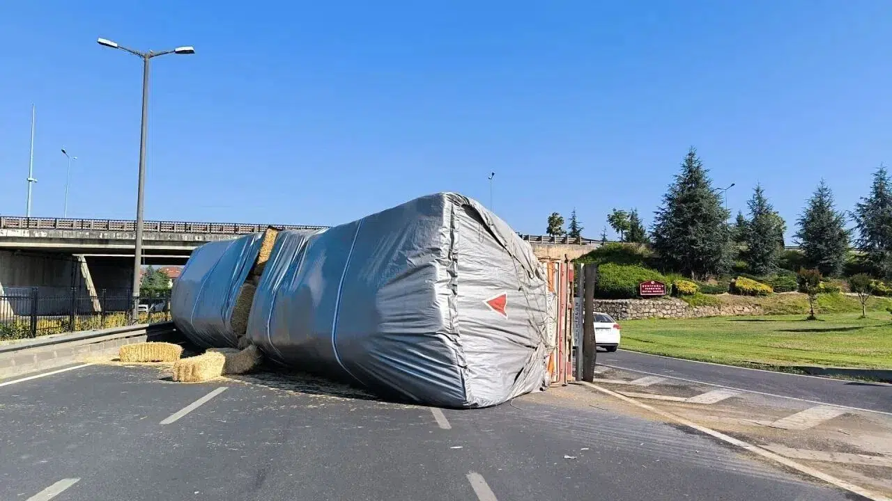 Bitlis'te feci kaza : Büyükbaş hayvan yüklü tırlar devrildi