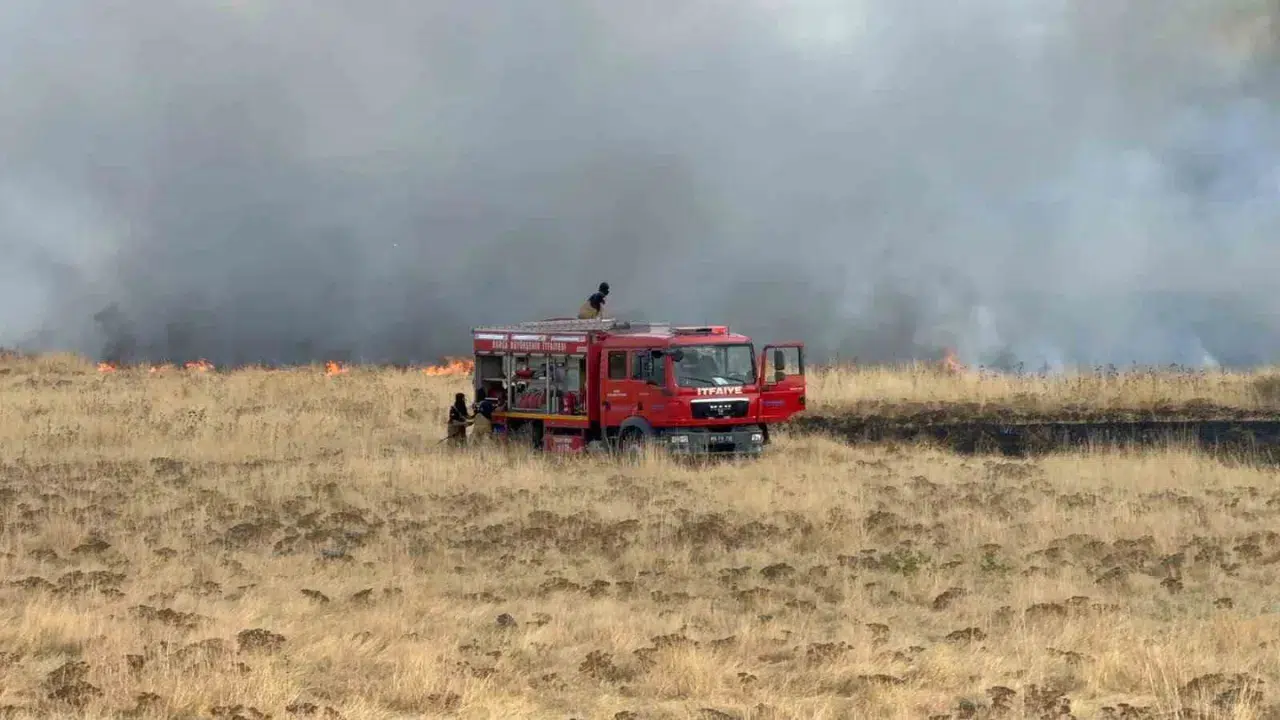 Bitlis'te korkutan yangın ! Rüzgarla yayıldı, 300 dönümlük alan zarar gördü