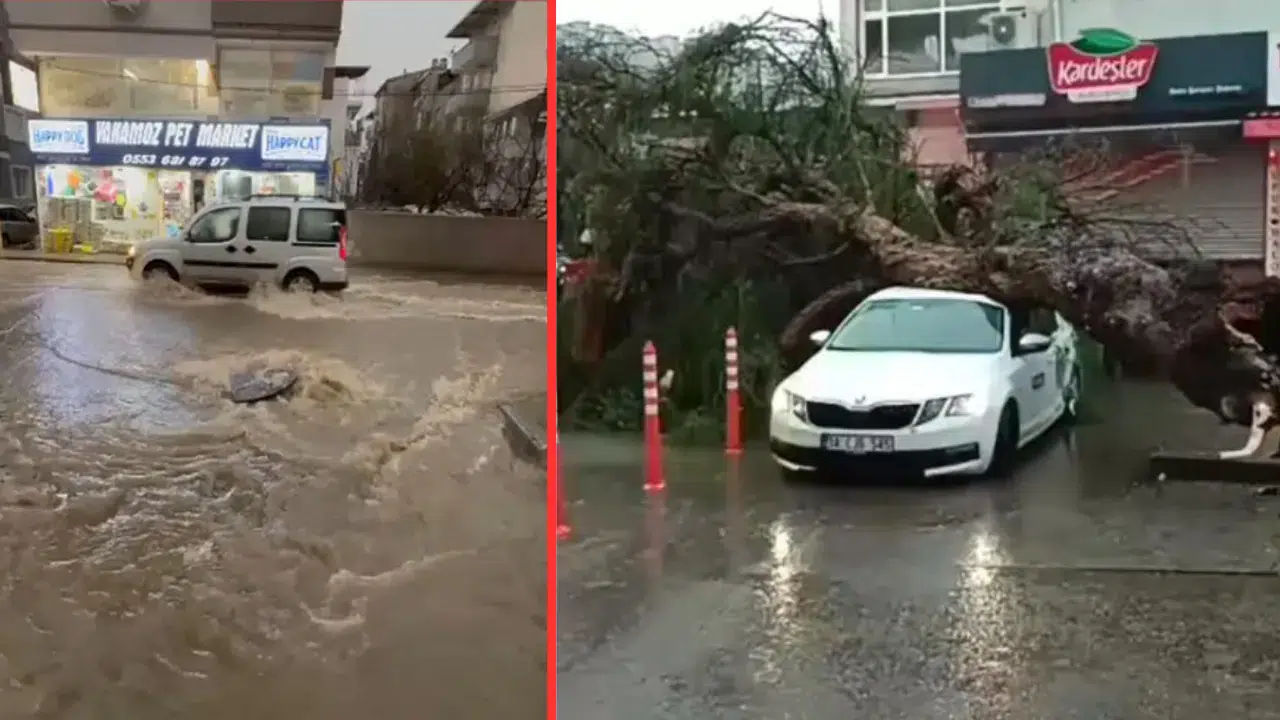 İzmir'de sağanak ve fırtına çilesi: Ağaçlar devrildi, röğarlar taştı