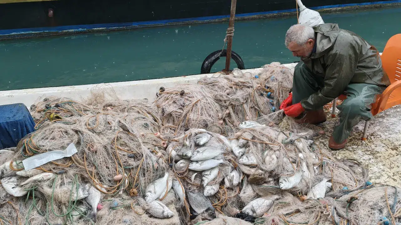 Silifke'de deniz taştı, balıklar karaya vurdu! Kafesler yırtılınca sahil doldu taştı