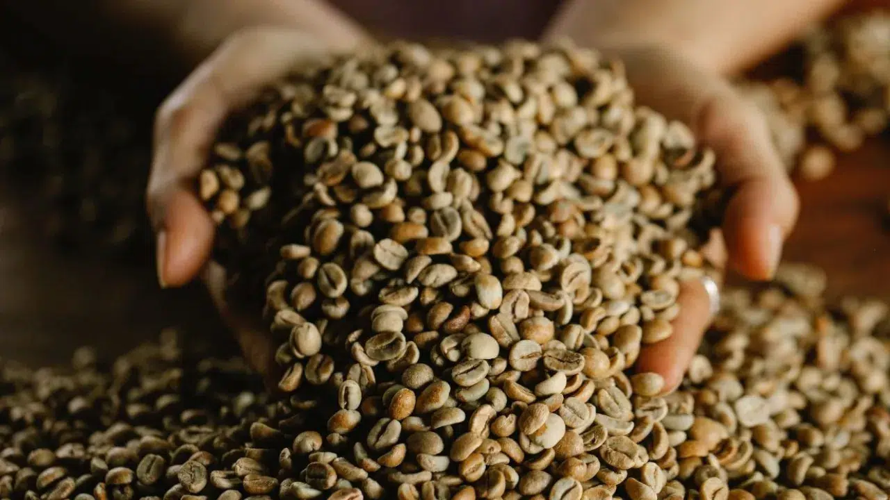 Vietnam'da sahte kahve operasyonu : 4.1 ton kahve ele geçirildi