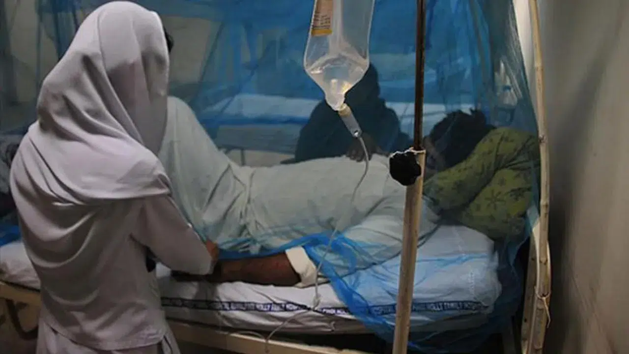 Hindistan'da yeni virüs alarmı! Nipah virüsü nedir, nasıl bulaşır ve belirtileri neler?