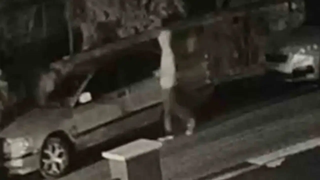 Eskişehir'de 7 aracın camını kırarak hırsızlık yapan şahıs tutuklandı