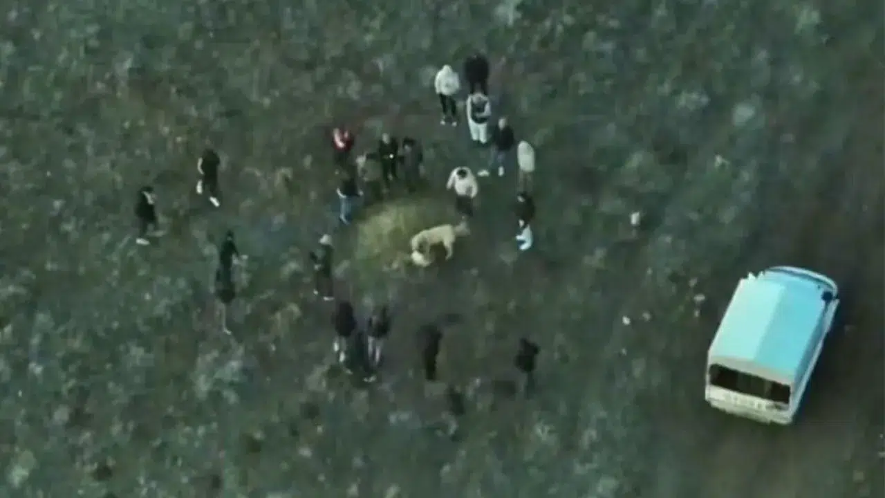 Afyonkarahisar'da jandarmadan dronla baskın: Köpek dövüştüren şahıslar yakalandı