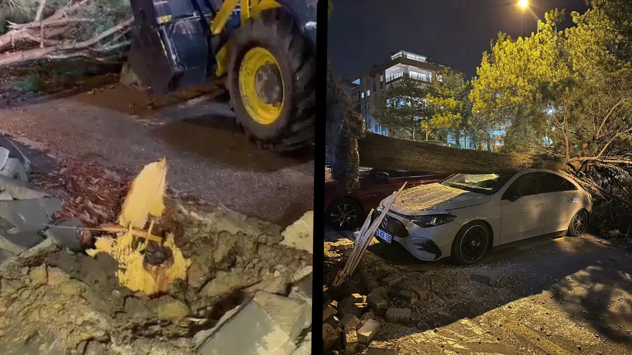 Denizli'de rüzgar ağaçları devirdi, çatıları uçurdu