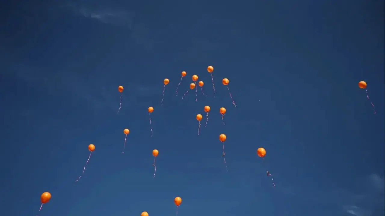 İzmir'de lösemi hastası olan Afra için gökyüzüne balon bırakıldı