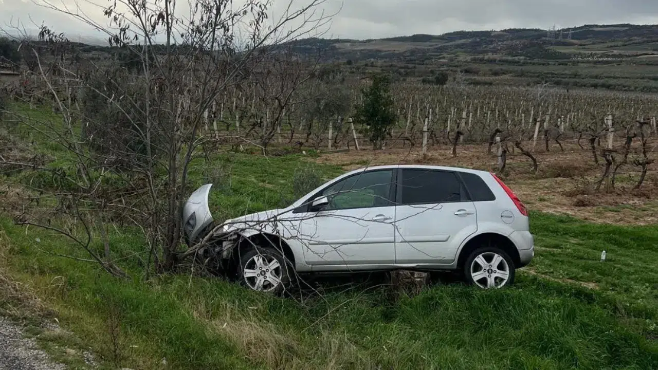 Denizli'de aynı yerde ikinci kaza: Araç üzüm bağına uçtu
