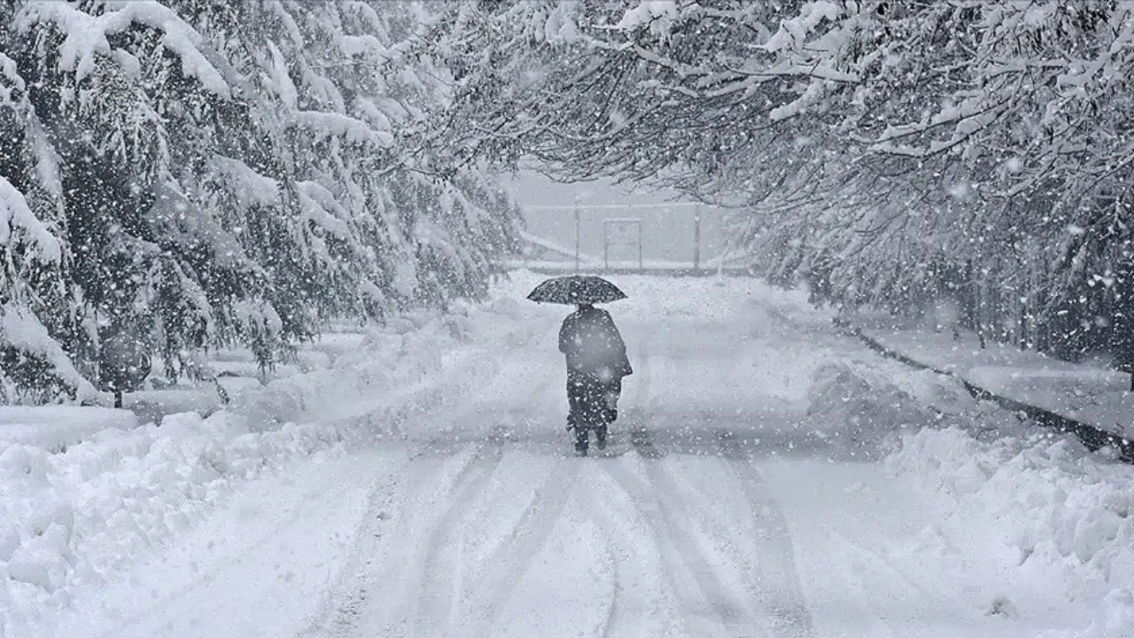 Japonya'da kar felaketi: 4 kişi öldü, 26 kişi yaralandı!