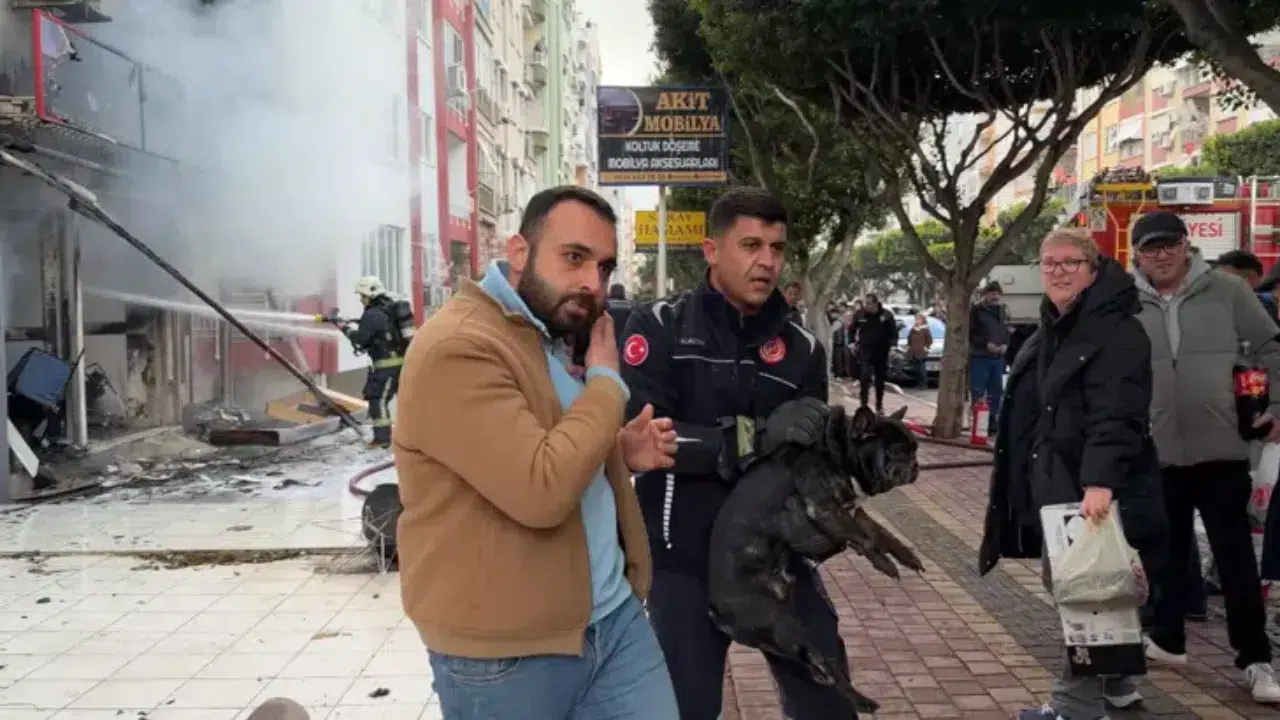 Antalya Kepez mobilya atölyesi yangını: 4 köpek kurtarıldı, 3 yaralı