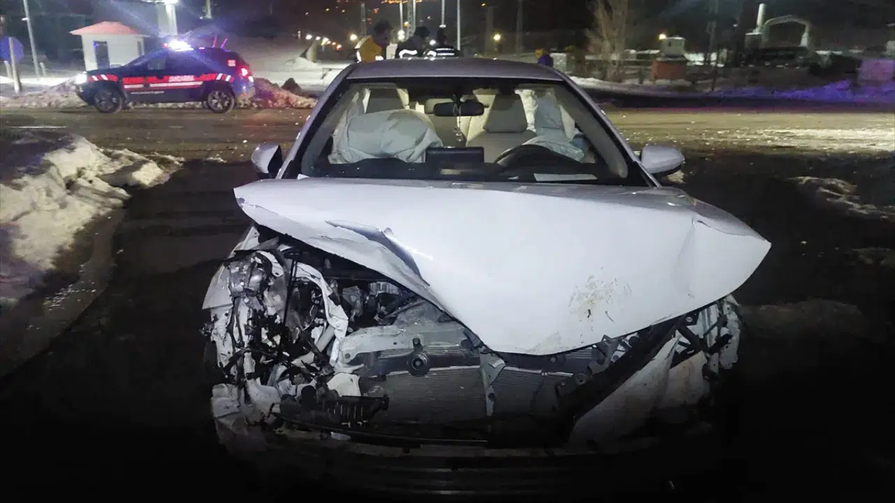 Bingöl'de otomobil domuz sürüsüne çarptı: Yaralılar var