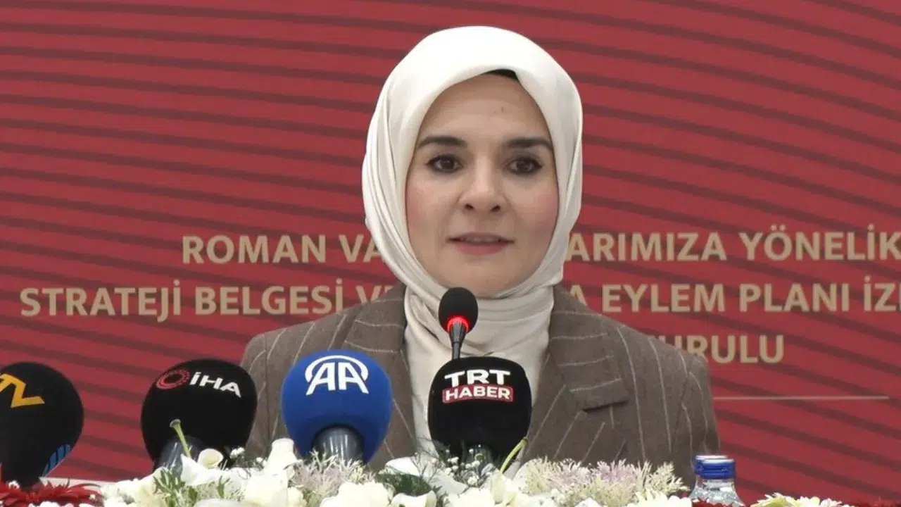 Bakan Göktaş: Roman vatandaşlarımızın kazanımlarını yaygınlaştıracağız