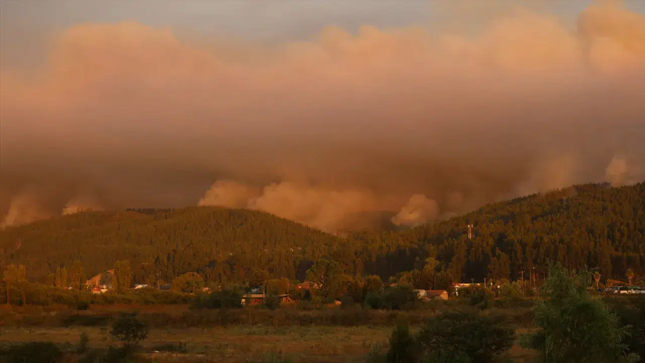 Şili'de orman yangınlarında 20 kişi hayatını kaybetti!