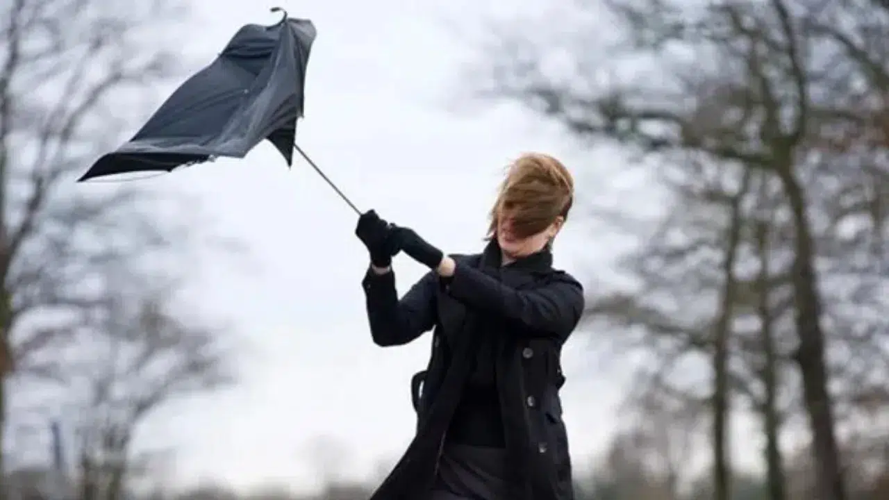 Niğde Valiliği'nden kuvvetli rüzgar ve fırtına uyarısı!