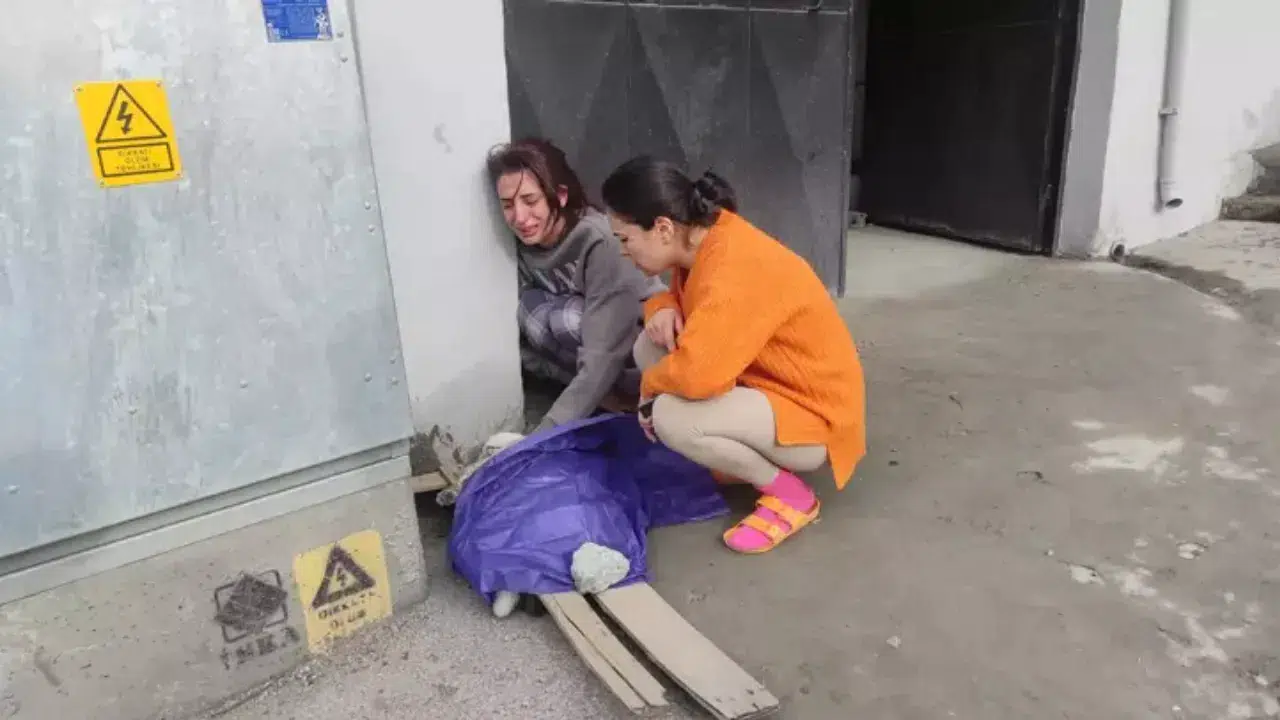 Beyoğlu’nda yangın faciası : Dairede mahsur kalan kedi öldü