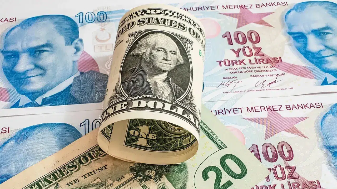 Türk Lirası reel değer kazandı : Ocak 2026 Reel Efektif Döviz Kuru verileri açıklandı!